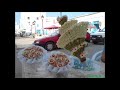 راس الجبل الغالية