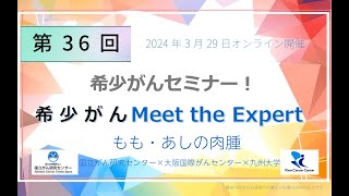 動画のサムネイル