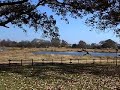Travelogue - Irene Lodge - JoBerg, South Africa