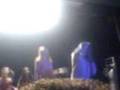 videos de WILD CATS