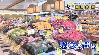 動画のサムネイル