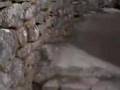 マチュピチュ(IN PERU)2