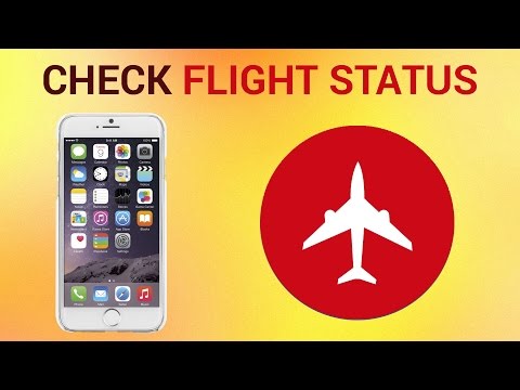 how to check flight status