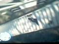 videos de hombre loco se cae por las escaleras