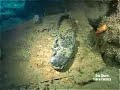 relitto castore by dsa technical scuba school roma