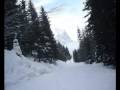 videos de Skiing along a Woodland Path