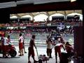 Moto GP ducati Sepang 2008