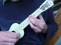 Carnival Plastic Sopranino Ukulele