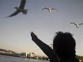 ellerimle-marti-besl