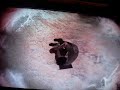 SKATE 2 HALL OF MEAT SCORE GLITCH SKATE 2 HALL OF MEAT SCORE GLITCH