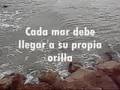 237 PENSAMIENTOS D...