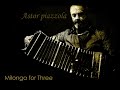 An instrumental track from Astor Piazzolla's The Rough Dancer and the Cyclical Night (Tango Apasionado).