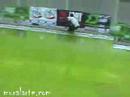 Allan Mesquita FINALROUND Allan Mesquita FINALROUND