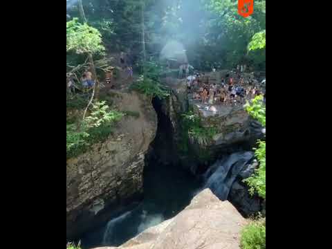 Dziadek pokazał młodym jak się skacze do rzeki! Kopary im opadły :D