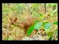 Rio da Prata - Bonito MS
