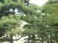 06能登北陸tour03