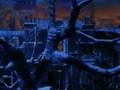 Peter Pan - Into the West