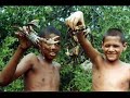O CICLO DO CARANGUEJO