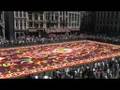 Brussels Flower Carpet 2008