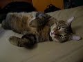 Max - 20070820