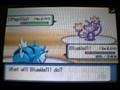 pokemon wifi darksen vs chickenator