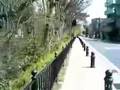 華やかな春の桜宴の井の頭公園：風の散歩道パート２:YouTube閲覧数=172回