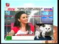 Cronica-Carcotasilor