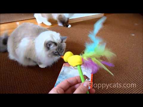 Petstages Flirty Bird Flyer Review 0 Petstages Flirty Bird Flyer Review