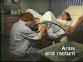 rectocvaginal examination
