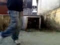 Rebolation //** Ale x Feh PsyCoodelicos..