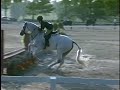Up to Snuff (Horse for Sale) Up to Snuff (Horse for Sale)