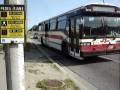 TTC GM Classic #6243