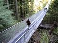 videos de Amber in Capilano