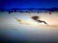 لايفوتك هالسلق صدق انه سبووووق الله يهني صاحبه