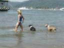 Bulls na Praia.wmv