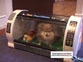 [Video]