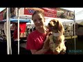 Wiener Dog Races