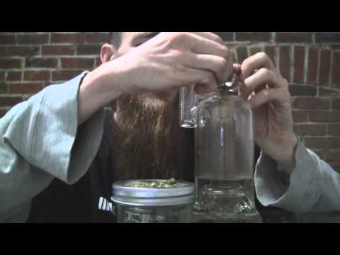 tokin daily: dont be a hater