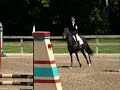 Arkadios (Bear) Middle TN Horse Trials- Stadium and XC