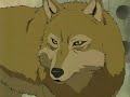Wolf\