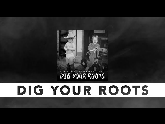 Florida Georgia Line Dig Your Roots Tour Review Florida Georgia Line Dig Your Roots Tour Review