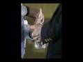 videos de Mccain on Lobbyists