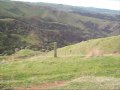 Horse back riding in New Zealand