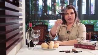 Quer saber tudo sobre vinhos?