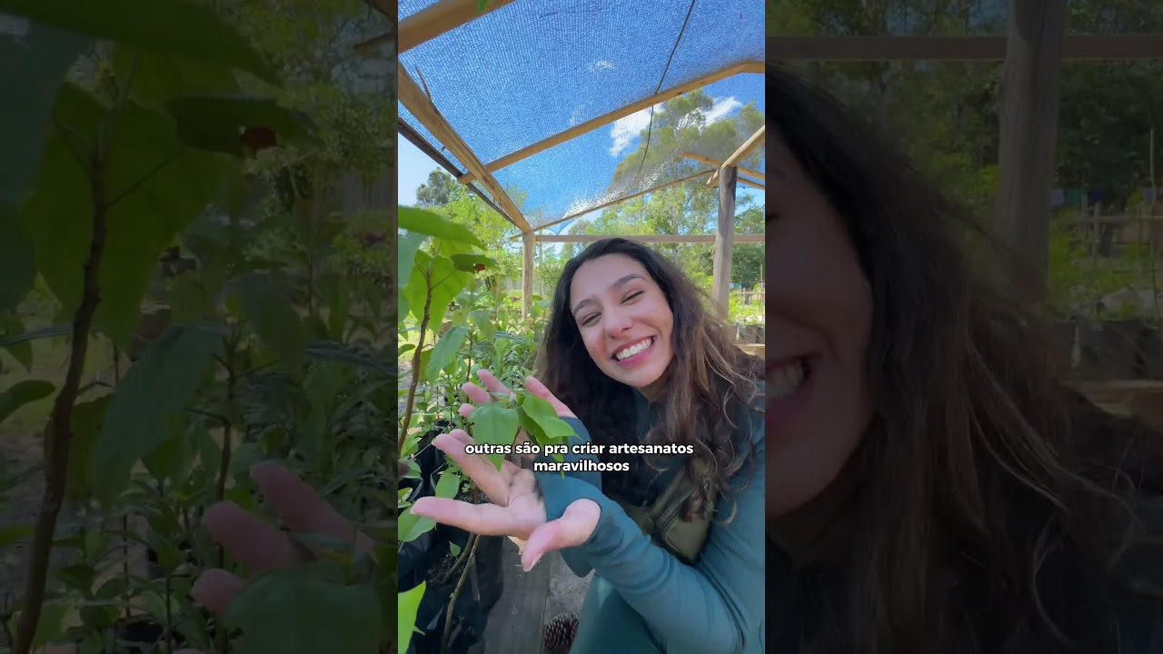 Saberes que fazem brotar futuro​