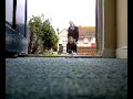 wheeling,ducking & tripping