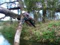 03 октября 2009 г  059