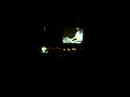 video izle