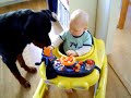 Rottweiler&amp;baby the real side of Rottweiler
