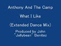 Anthony And The Camp - What I Like (12\") Anthony And The Camp - What I Like (12\")